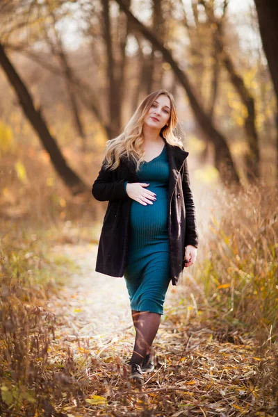 Zwangere Vrouw Loopt Herfst Natuur — Stockfoto