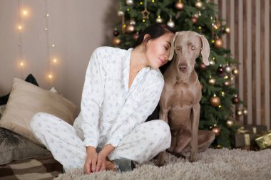Köpekli mutlu genç kadın evde yeni yılı bekliyor.