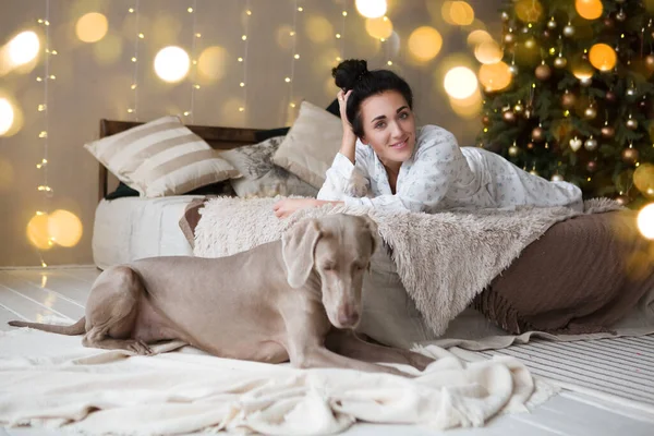 Köpek Weimaraner Pijamalı Mutlu Genç Kadın Evde Yeni Yılı Bekliyor — Stok fotoğraf
