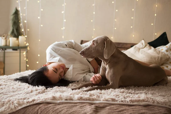 Happy Young Woman Pajamas Dog Weimaraner Lying Bed Home Winter — Stock Photo, Image