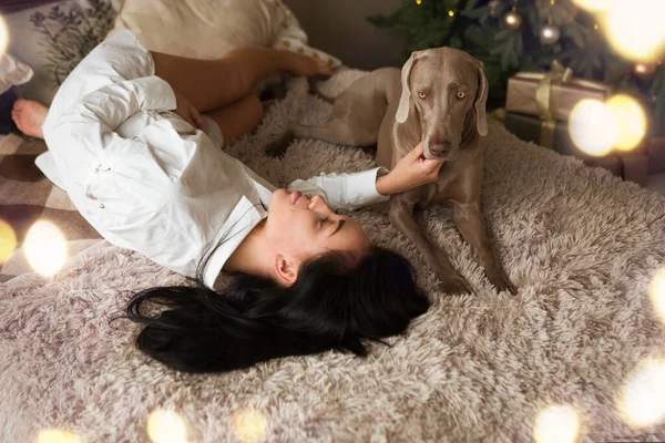 Pijamalı Mutlu Bir Genç Kadın Evde Yatakta Yatan Bir Köpek — Stok fotoğraf