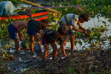 Kids catch fish in muddy lake edge using traditional hand nets, surrounded by water hyacinths.August 31, 2025, Praya Lombok Indonesia.