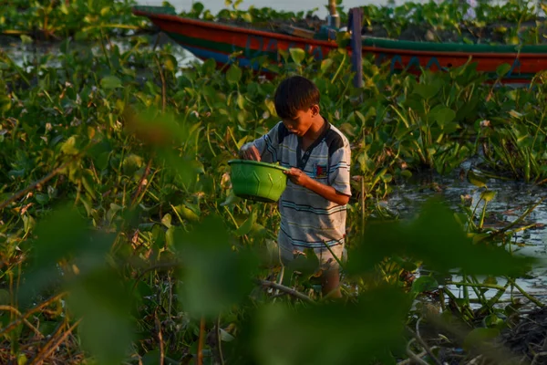 Kids catch fish in muddy lake edge using traditional hand nets, surrounded by water hyacinths.