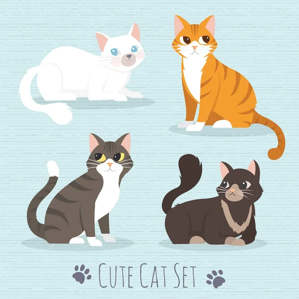 Gato tan lindo — Vector de stock