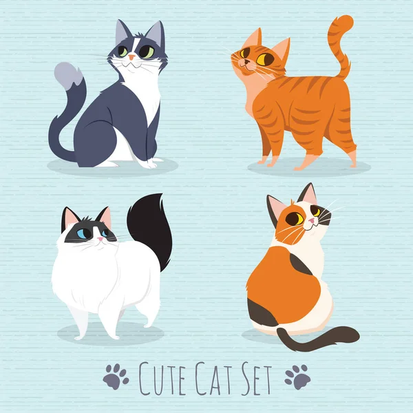 Cats Breed Set Raster Illustration Flat Cartoon Style — 스톡 벡터