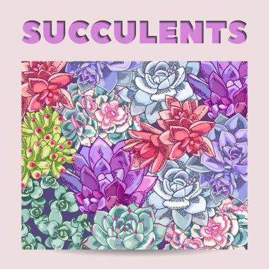 Renkli kart tasarımı. Succulents dekorasyon vektör. Çiçek şekil.