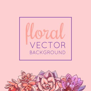 Resimde güzel succulents dekorasyonu ile. Vektör çiçek tasarım. Botanik arka plan şablonu.