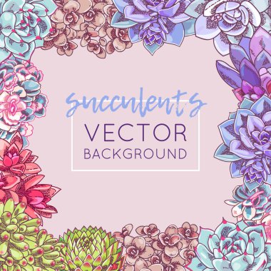 Resimde güzel succulents dekorasyonu ile. Vektör çiçek tasarım. Botanik çerçeve şablon.