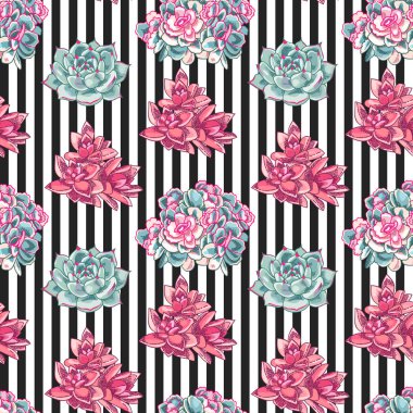Güzel succulents dekorasyon. Çiçek seamless modeli. Çizgili bir arka plan üzerinde botanik illüstrasyon. 