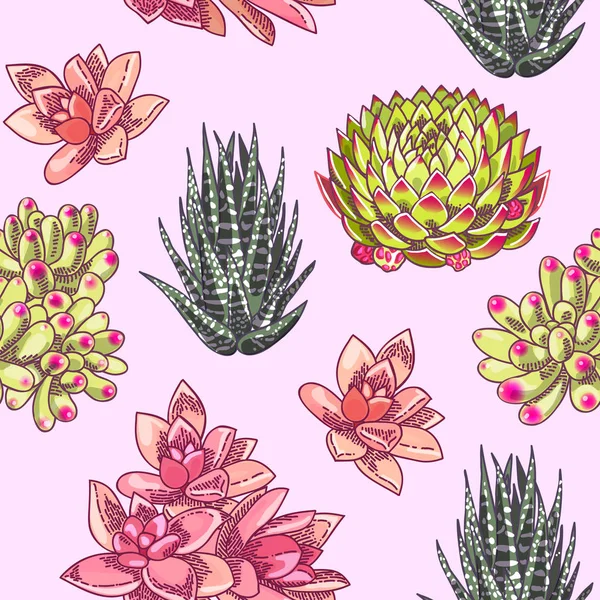 美しい多肉植物装飾デザイン 花のシームレスなパターン 植物イラスト — ストックベクタ