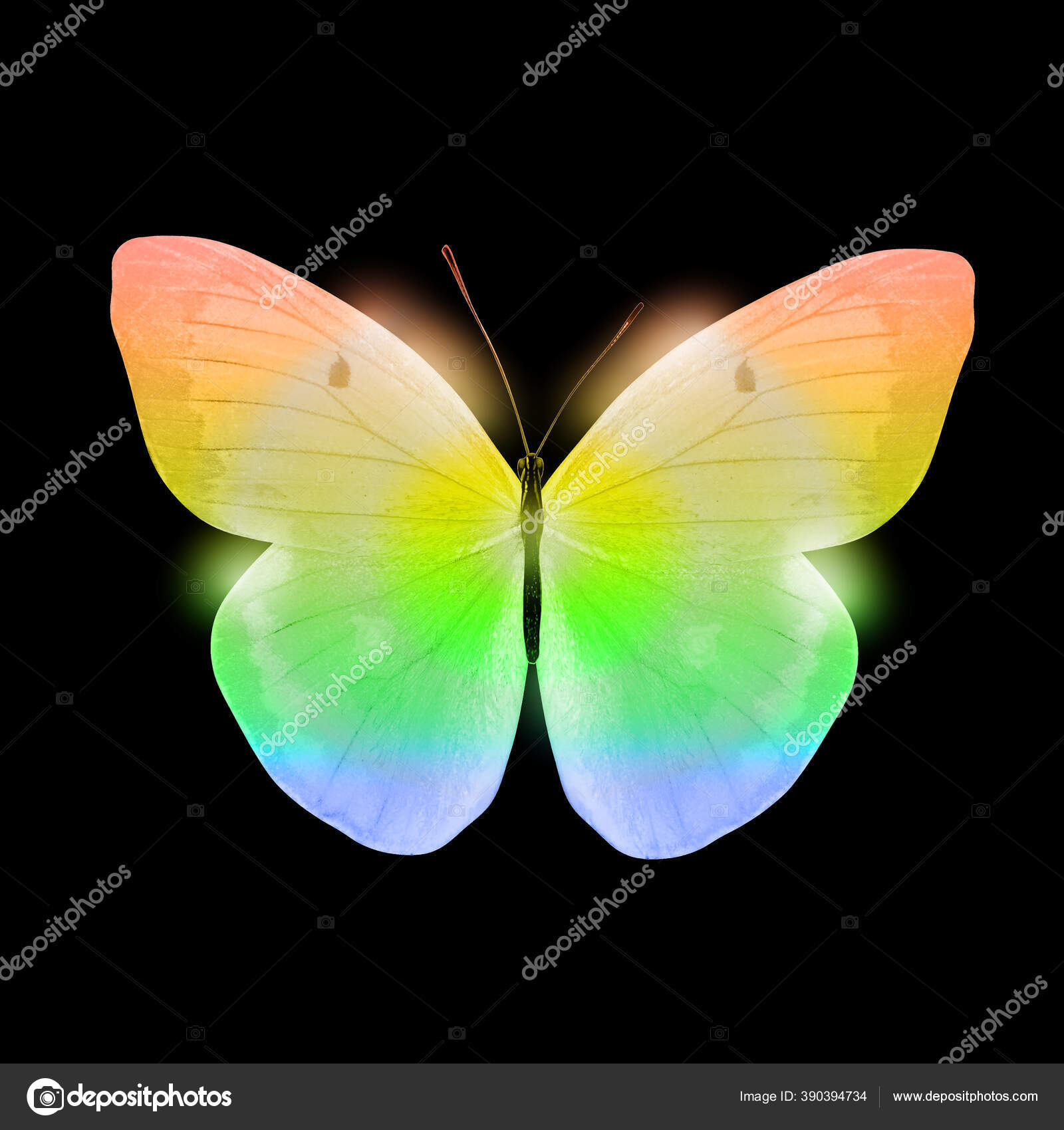 Papillon Couleur Isole Sur Fond Noir Photo Haute Qualite Image Libre De Droit Par Koshkakistochka Gmail Com C Papillon Couleur Isole Sur Fond Noir Photo Haute Qualite Image Libre De Droit Par Koshkakistochka Gmail Com C