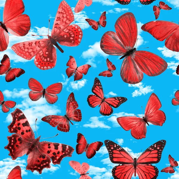 red butterflies against blue sky with clouds. seamless pattern. High quality photo