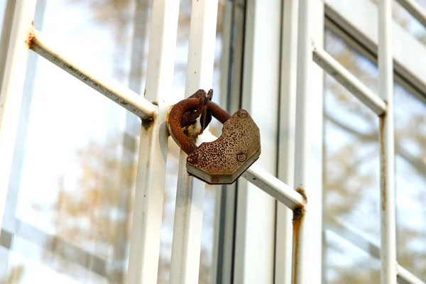 the lock hangs on a metal lattice on the window. Thief protection. High quality photo