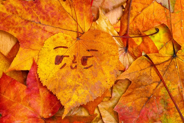 funny face on an autumn leaf