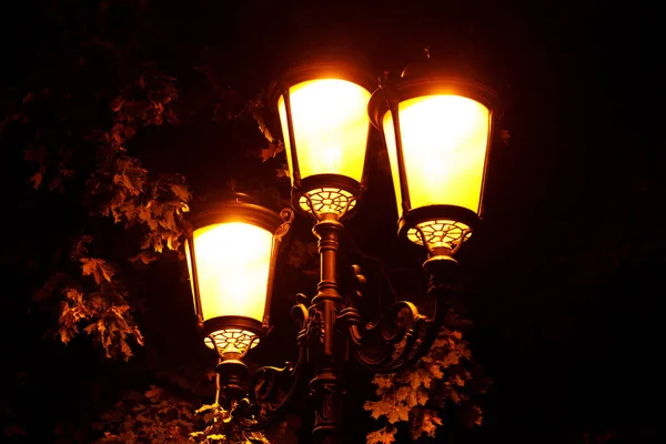 glowing street lamp in the park at night