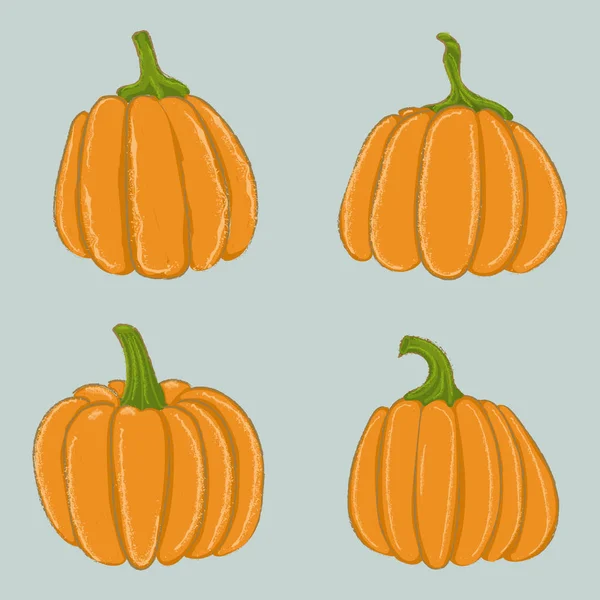 Set Cuatro Calabazas Dibujadas Mano Elementos Para Diseño Cosecha Halloween — Vector de stock
