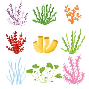 Deniz yosunu. Sualtı bitkiler beyaz arka plan üzerinde izole kümesi. Akvaryum Algae. Çizgi film.