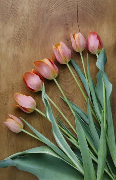 Fleurs de tulipe sur un fond en bois — Photo