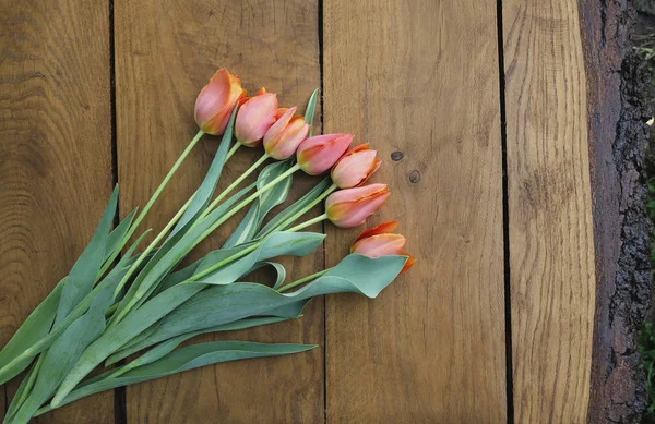 Flores de tulipán sobre fondo de madera —  Fotos de Stock
