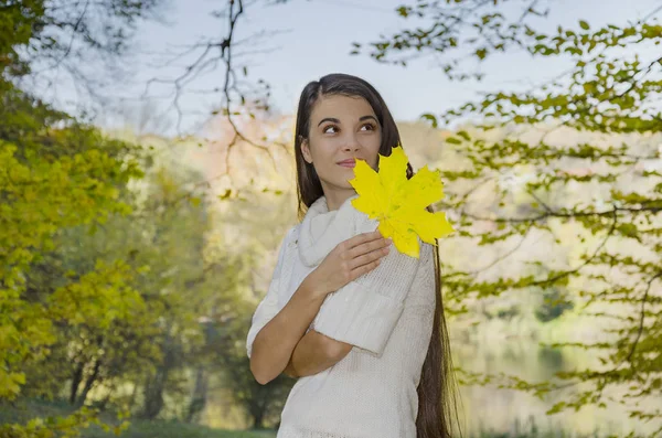 Young Girl Long Hair Holds Yellow Maple Leaf Her Hands — Stock Photo, Image