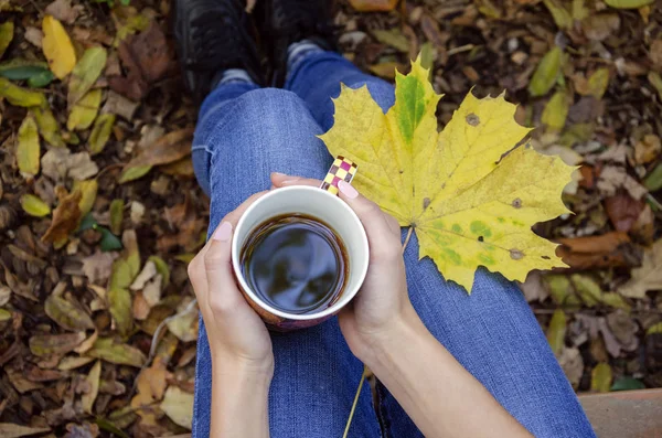 arka planı mavi kot pantolon ve sarı akçaağaç yaprağı öğleden sonra kız elinde sıcak bir içecek fincan