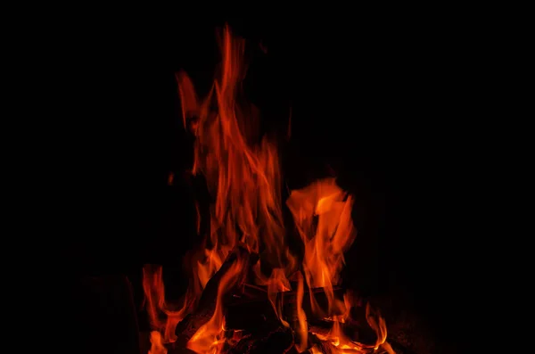 Rote Flamme Brennender Baum Der Wärme Und Licht Auf Schwarzem — Stockfoto