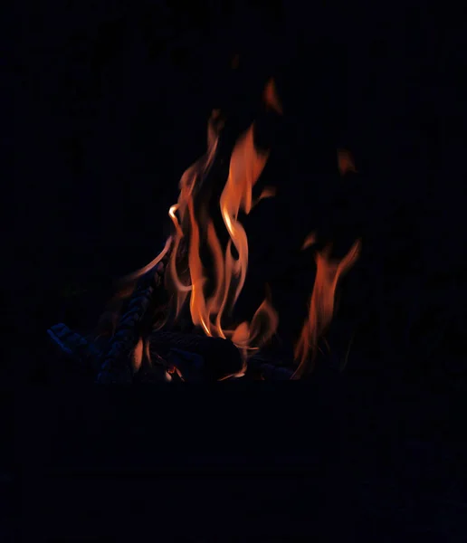 Chama Vermelha Árvore Ardente Dando Calor Luz Sobre Fundo Preto — Fotografia de Stock