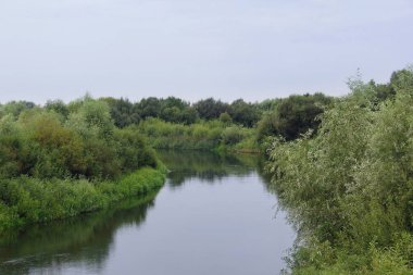 nehir akar yeşil ağaçlar, sıcak bulutlu bir günde, güzel bir manzara arasında