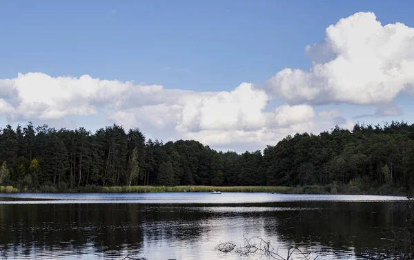 美しい秋の風景 水と緑の雲の反射の池 — ストック写真