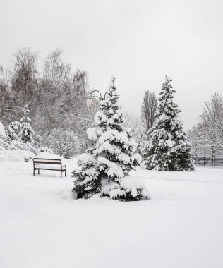 ağaçlar ve peyzaj, Ukrayna, Kiev, 14 Aralık 2018 Kış Beyaz kar, güzel kaplı banklar