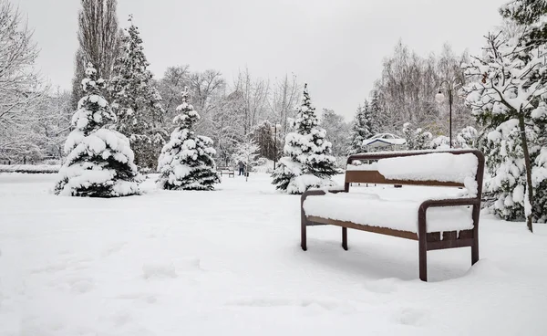Trees Benches Covered White Snow Beautiful Winter Landscape Ukraine Kiev — Stock Photo, Image