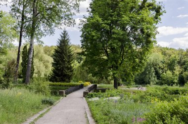 sıcak dövme, yeşil ağaçlar bir arka plan üzerinde bir sıcak bahar gününde parkta güzel bir metal ile Köprü