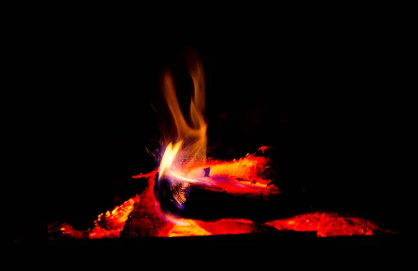 Rote Flamme Sterbender Baum Der Hitze Und Licht Auf Schwarzem — Stockfoto