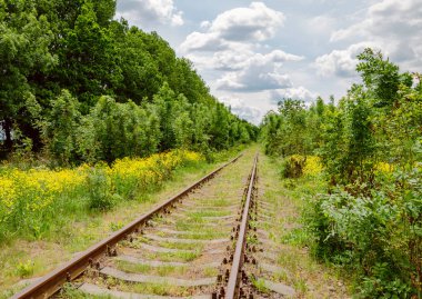 çiçekli ağaçlar ve mavi gökyüzü beyaz bulutlar, sıcak bahar öğleden sonra ile arasında eski tren yolu