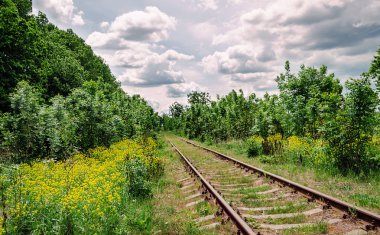çiçekli ağaçlar ve mavi gökyüzü beyaz bulutlar, sıcak bahar öğleden sonra ile arasında eski tren yolu