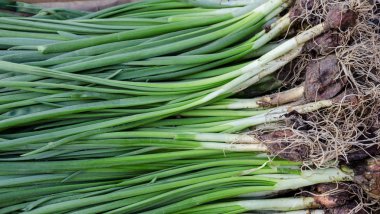 soğan taze yeşil doğal