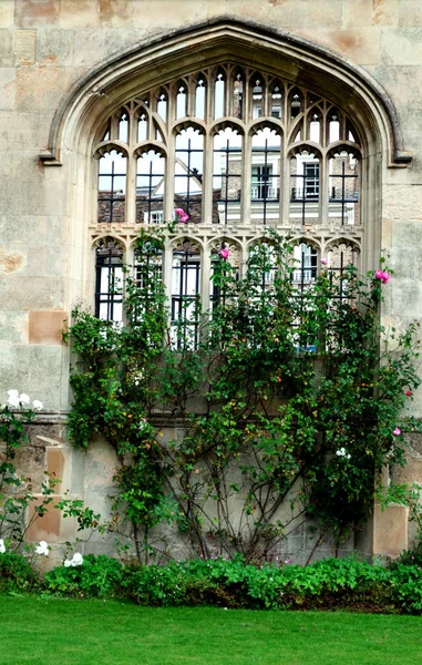 De architectuur van de studentenstad Cambridge, — Stockfoto