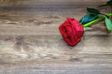 ahşap adam üzerinde kırmızı gül