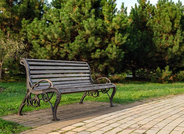 Träbänk för att koppla av på bakgrunden av träd — Stockfoto