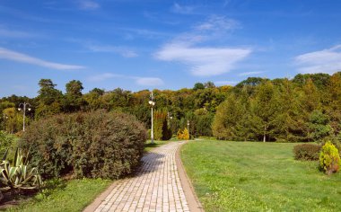 yol parkta yürüyüş