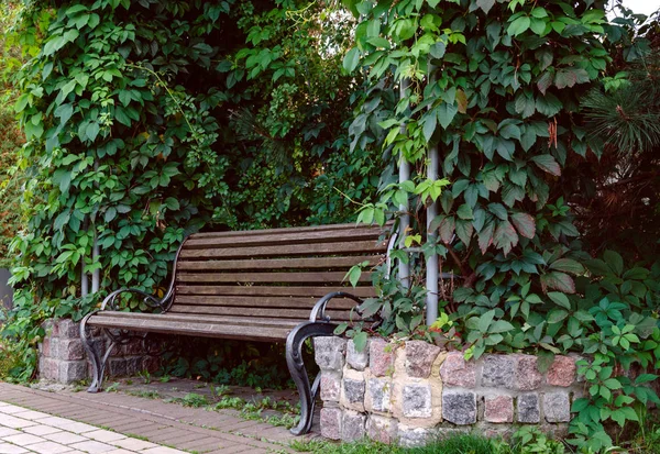 Дерев'яна лавка для відпочинку теплий день у парку — стокове фото