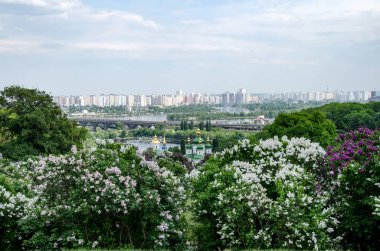 Nehir ve şehrin arka planda Ortodoks kilisesi, 
