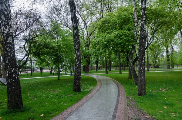 Pěší stezky v parku, lavice pro odpočinek a zelené stromy — Stock fotografie