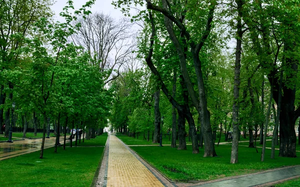 walking paths in the park, benches for rest, and green trees