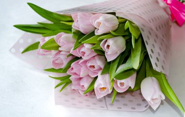 açık bir arka plan üzerinde pembe lale çiçekleri