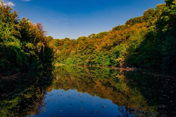 美丽的秋天景观，池塘岸边的明亮树木 — 图库照片
