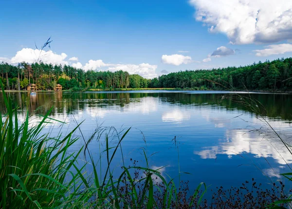 Schöne Landschaft grüne Bäume am Teich — Stockfoto