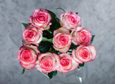 Pembe gül çiçekleri, arka planda doğal kesilmiş çiçekler, yakın plan.