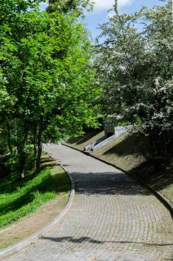 Parktaki asfalt yolda yeşil ağaçların arasında, güzel bahar manzarası