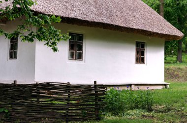 Ağaçların arasında sazdan çatılı eski bir ev, sıcak bir günün tadını çıkar.